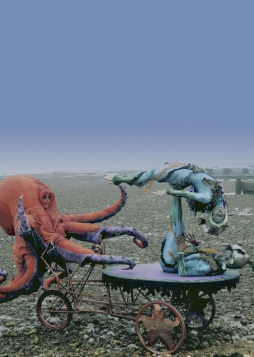 Octopus Ocean