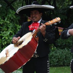 Mariachi Band for hire