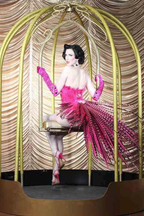 burlesque artist to hire