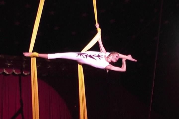 aerial artist dani