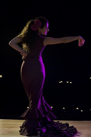 Flamenco Show UK