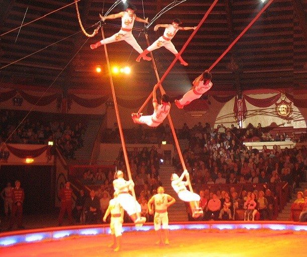 Pole Dancers - Flying Pole Acrobats for hire London UK