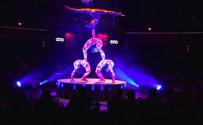 African Acrobatic Show