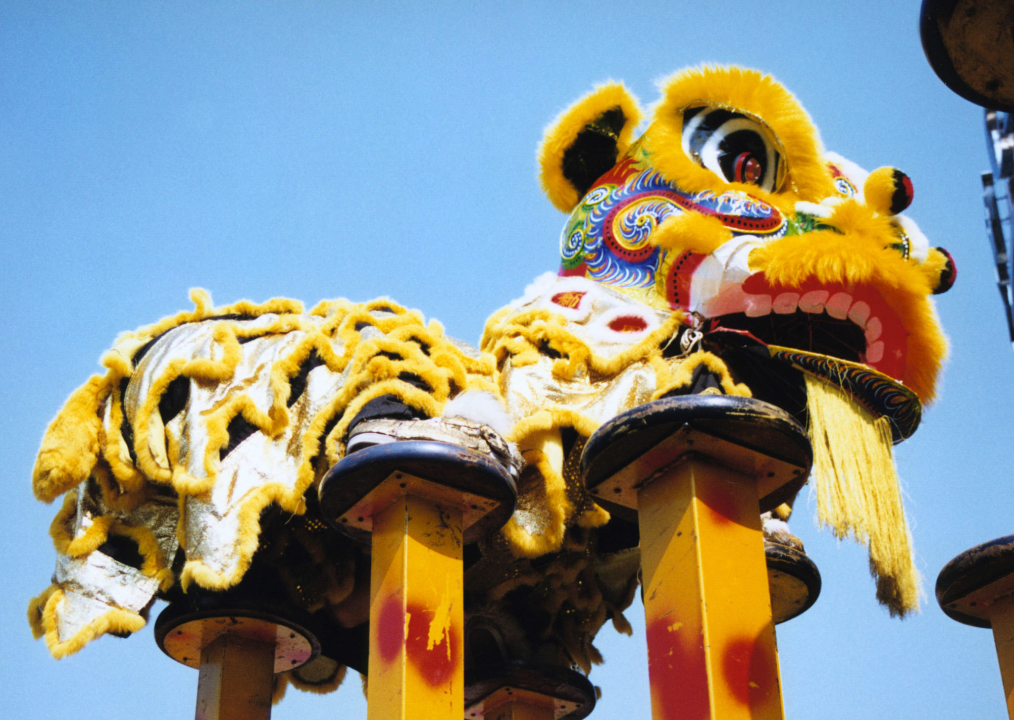 lion dance during chinese new year