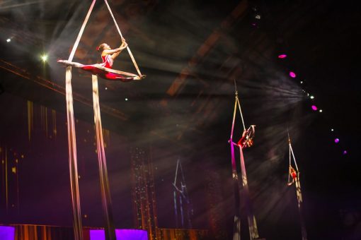 Cirque Shows