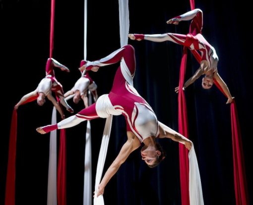 Aerial and Acrobats
