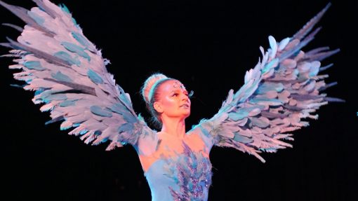 Winged Ballerina