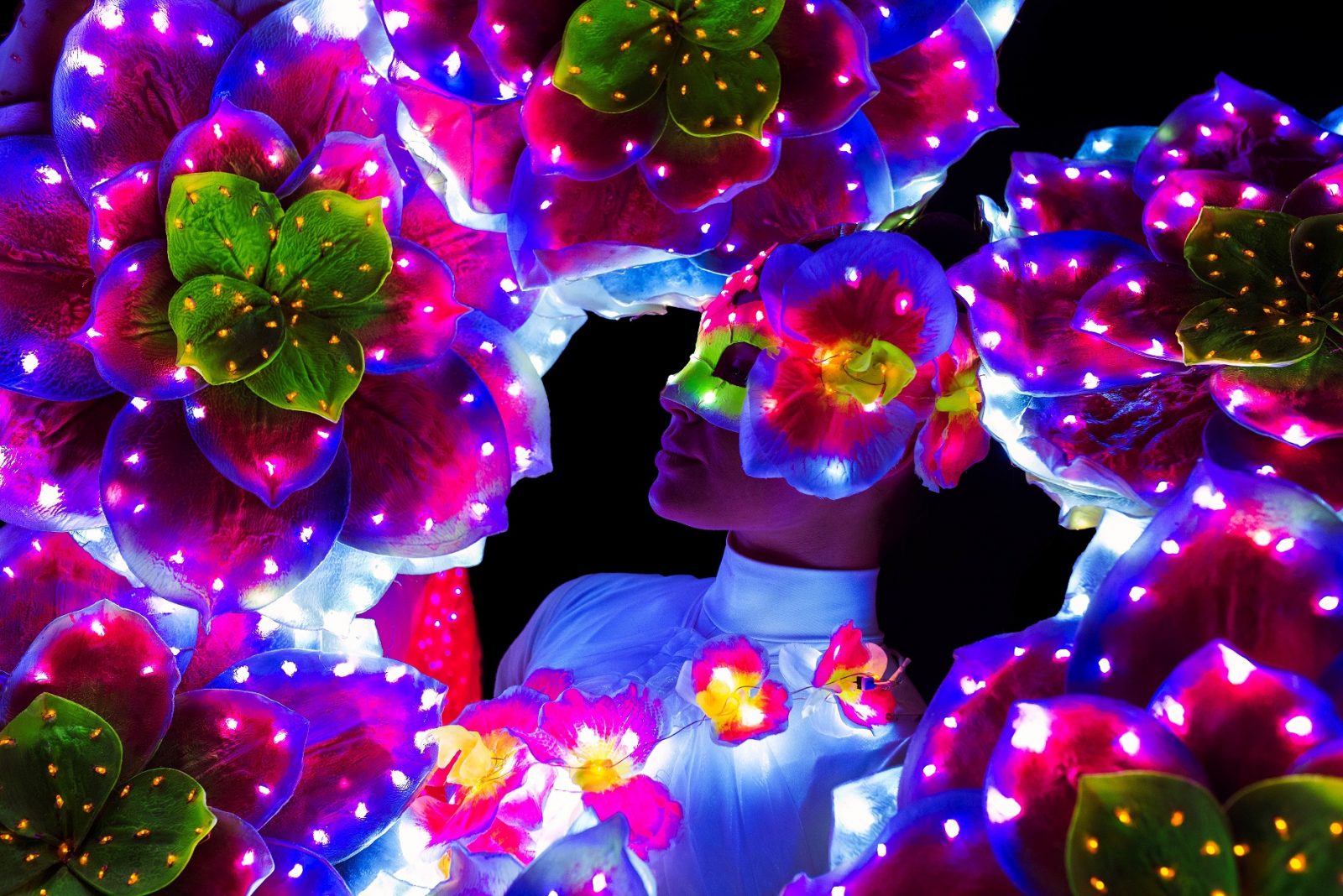 Light Angels
