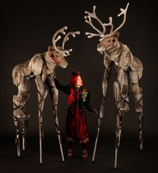 Reindeer Characters