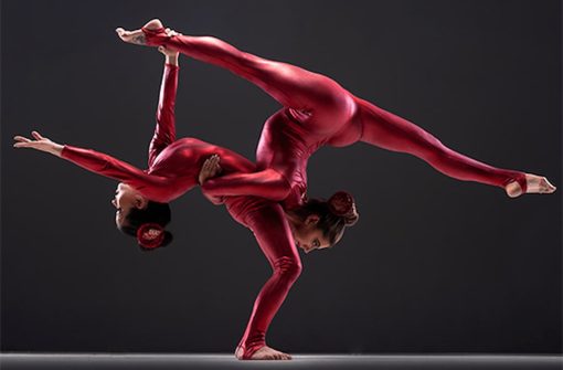 Contortionists uk
