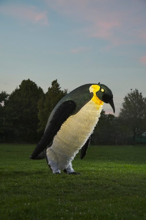 Giant Penguin