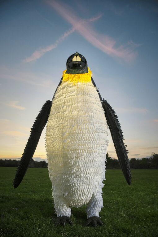 Giant Penguin