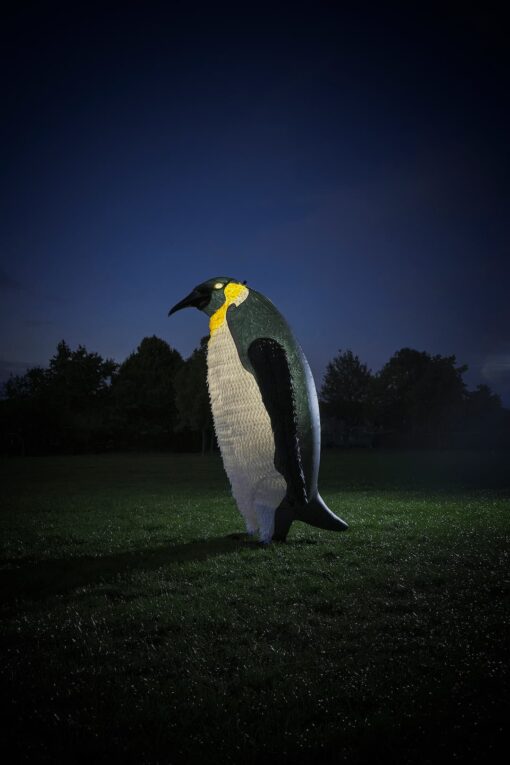 Giant Penguin