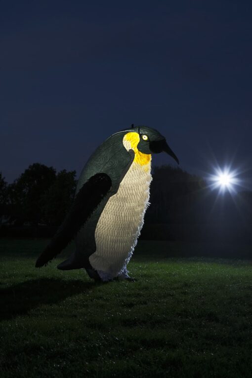 Giant Penguin