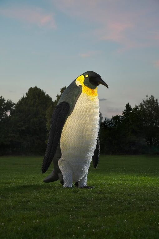 Giant Penguin