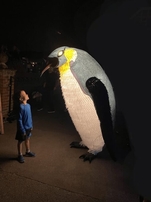 Giant Penguin