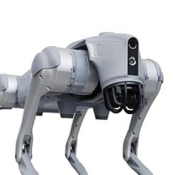 Robot Dog